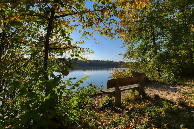 内托谈输球：球队今天状态不好，对手在各方面都表现得更好