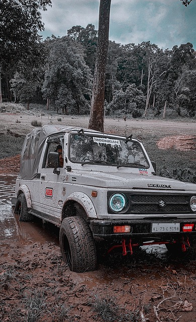 跟队：多特在与狼队谈法比奥-席尔瓦转会，预计本周将加速